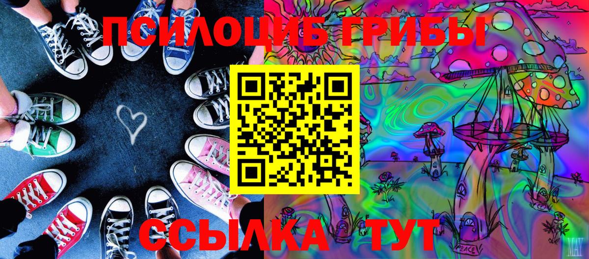 купить закладку  Псилоцибиновые грибы мухоморы  Вход с VPN  Новый Уренгой 